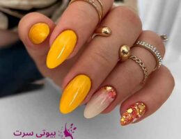 beautycert.ir-nail design